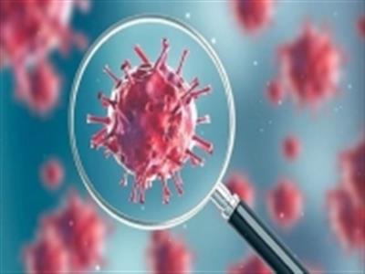 दक्षिण अफ्रीका से हॉलैंड उतरने वाले 61 यात्री मिले कोविड पॉजिटिव