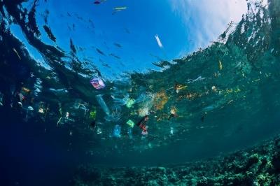 India, Australia, Singapore to address marine pollution with focus on plastic debris