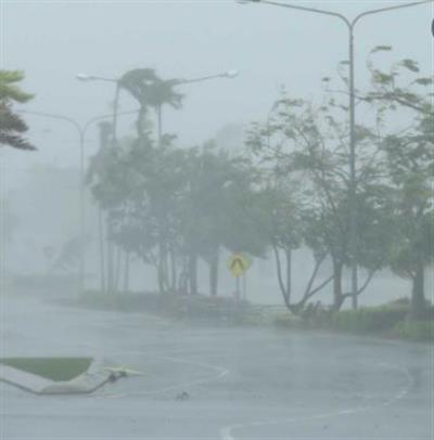 Heavy rains, hailstorm damage standing crops in Rajasthan