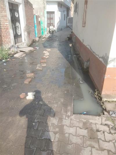 जोगीवाला मोहल्ला  मोरिंडा के लोग सीवेज और गंदे पानी की निकासी  के अभाव में नारकीय जीवन जीने को मजबूर 