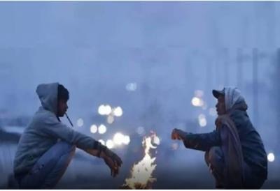 Cold wave grips North India, dense fog engulfs several areas