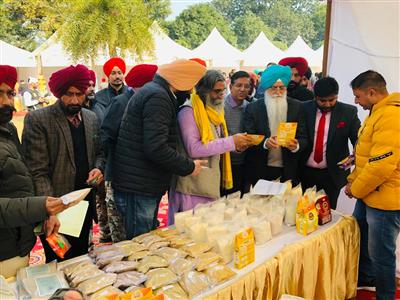 NIJJAR EMPHASIZES ON THE PRODUCTION OF MILLET CROPS