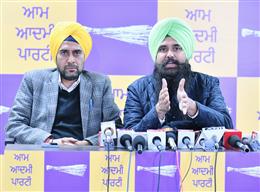 New Year present to government employees in Punjab, the Mann government announces 4% DA increase